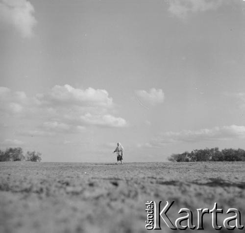 1961, Kurpiowszyzna, Polska.
Kobieta w chuście idzie przez pole.
Fot. Irena Jarosińska, zbiory Ośrodka KARTA
