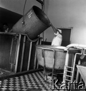 1954, Józefów, Polska.
Mazowieckie Zakłady Przemysłu Drożdżowego, n/z wózek na drożdże.
Fot. Irena Jarosińska, zbiory Fundacji Ośrodka KARTA