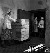 1954, Józefów, Polska.
Mazowieckie Zakłady Przemysłu Drożdżowego, n/z transport towaru z pakowni do magazynu.
Fot. Irena Jarosińska, zbiory Fundacji Ośrodka KARTA