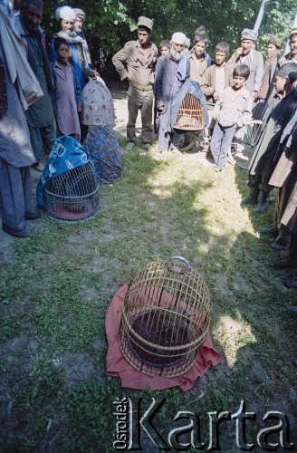 1992, Kabul, prowincja Kabul, Afganistan.
Hodowcy ptaków ozdobnych.
Fot. Irena Jarosińska, zbiory Ośrodka KARTA