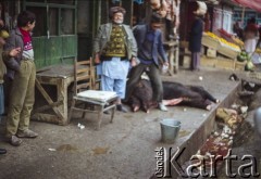1992, Kabul, prowincja Kabul, Afganistan.
Na targu. Sprzedawcy mięsa i rzeźnicy przy swoich kramach.
Fot. Irena Jarosińska, zbiory Ośrodka KARTA