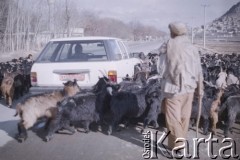 1992, Kabul, prowincja Kabul, Afganistan.
Pasterz prowadzi drogą stado kóz.
Fot. Irena Jarosińska, zbiory Ośrodka KARTA