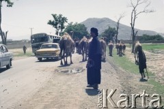 1992, Kabul, prowincja Kabul, Afganistan.
Mężczyzna pędzi drogą stado dromaderów. Na horyzoncie Wzgórza Asmai otaczające Kabul.
Fot. Irena Jarosińska, zbiory Ośrodka KARTA