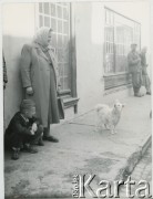 Lata 50., Warszawa, Polska.
Ludzie i pies na ulicy.
Fot. Irena Jarosińska, zbiory Ośrodka KARTA