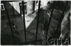 Lata 50. - 60., Warszawa, Polska.
Pies na balkonie kamienicy od strony podwórza.
Fot. Irena Jarosińska, zbiory Ośrodka KARTA