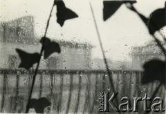Brak daty, Polska.
Szyba w oknie w czasie deszczu.
Fot. Irena Jarosińska, zbiory Ośrodka KARTA