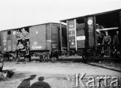 Luty 1917, brak miejsca.
Transport wojskowy. Żołnierze rosyjscy podróżujący w wagonach towarowych. Napis na wagonie 