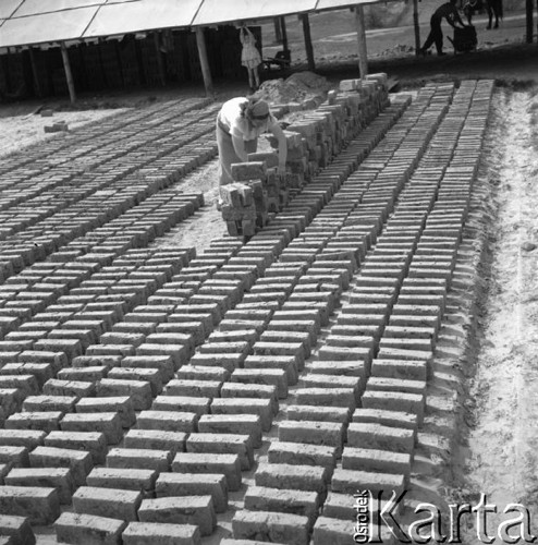 Maj 1958, Piaseczno, woj. Warszawa, Polska.
Pracownica cegielni układa cegły do suszenia.
Fot. Romuald Broniarek, zbiory Ośrodka KARTA