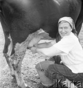Lipiec 1956, Mazury, Polska.
Kobieta dojąca krowę.
Fot. Romuald Broniarek, zbiory Ośrodka KARTA