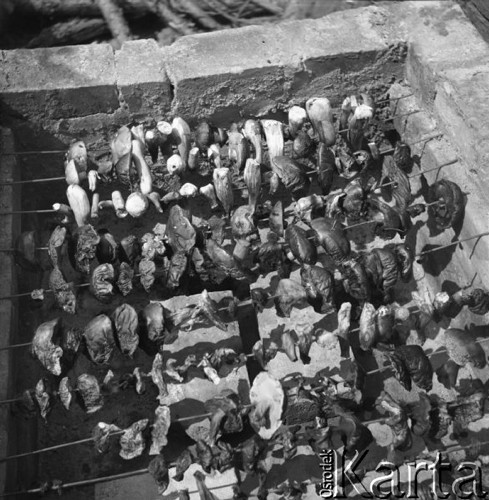Lipiec 1956, Mazury, Polska.
Grzyby suszące się na rusztach.
Fot. Romuald Broniarek, zbiory Ośrodka KARTA
