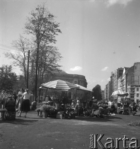 Sierpień 1957, Warszawa, Polska.
Kwiaciarki na Placu Politechniki.
Fot. Romuald Broniarek, zbiory Ośrodka KARTA