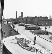 Kwiecień 1958, Kędzierzyn Koźle, Polska.
Zakłady Azotowe Kędzierzyn, autobusy do przewozu pracowników stoją na parkingu przed fabryką.
Fot. Romuald Broniarek/ KARTA
