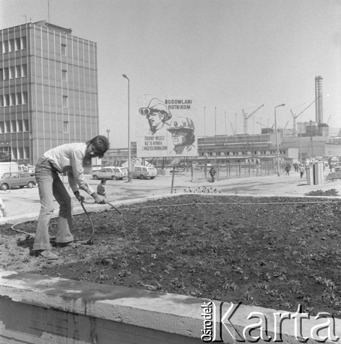 Maj 1976, Dąbrowa Górnicza, woj. Katowice, Polska.
Budowa Huty Katowice, na pierwszym planie mężczyzna podlewający trawnik, w tle tablica z hasłem: 