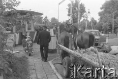 Maj 1977, Polska.
Konny wóz na stacji benzynowej.
Fot. Romuald Broniarek/KARTA