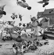 Maj 1960, Warszawa, Polska.
Dziewczyna karmi gołębie koło Kolumny Zygmunta. W tle fragment kościoła św. Anny.
Fot. Romuald Broniarek/KARTA