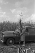 Wrzesień 1959, Polska.
Kobieta demonstruje kukurydzę na polach Rolniczej Spółdzielni Produkcyjnej, w tle samochód marki 