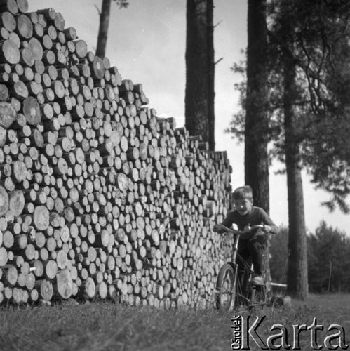 Lipiec 1962, leśniczówka Pieczysko, Polska.
Chłopiec na rowerze na tle sągów drewna.
Fot. Romuald Broniarek/KARTA