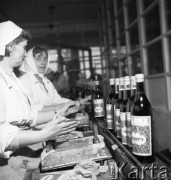 Grudzień 1964, Warka, Polska.
Taśma produkcyjna w wytwórni win i koncentratów owocowych.
Fot. Romuald Broniarek/KARTA