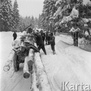 Styczeń 1966, Zakopane, Polska.
Wyrąb lasu, transport drewnianych bali.
Fot. Romuald Broniarek/KARTA