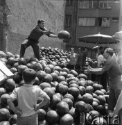Sierpień 1967, Jugosławia
Bazar - stoisko z arbuzami.
Fot. Romuald Broniarek/KARTA