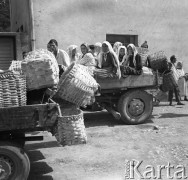 Sierpień 1967, Jugosławia
Grupa ludzi z koszami na wozie, prawdopodobnie kobiety jadące do pracy przy zbiorach owoców.
Fot. Romuald Broniarek/KARTA