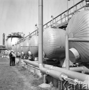 Wrzesień 1967, Schwedt, Niemiecka Republika Demokratyczna (NRD)
Pracownicy rafinerii stoją obok cystern.
Fot. Romuald Broniarek/KARTA