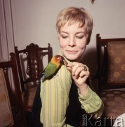 Listopad 1967, Berlin, Niemiecka Republika Demokratyczna (NRD)
Niemiecka aktorka Anna Bürger z papużką.
Fot. Romuald Broniarek/KARTA