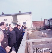 1968, Leszno k/Warszawy, Polska.
Wizytacja władz w Państwowym Gospodarstwie Rolnym.
Fot. Romuald Broniarek/KARTA