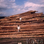 1972, Polska.
Skład drewna w tartaku.
Fot. Romuald Broniarek, zbiory Ośrodka KARTA