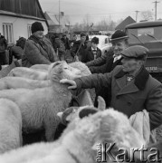 1972, Nowy Targ, Polska.
Jarmark.
Fot. Romuald Broniarek, zbiory Ośrodka KARTA