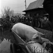 1972, Nowy Targ, Polska.
Jarmark.
Fot. Romuald Broniarek, zbiory Ośrodka KARTA