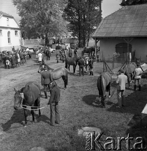 1973, Łąck, Polska.
Aukcja koni.
Fot. Romuald Broniarek, zbiory Ośrodka KARTA