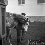 1973, Łąck, Polska.
Aukcja koni.
Fot. Romuald Broniarek, zbiory Ośrodka KARTA
