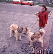 1973, Warszawa, Polska.
Dziewczynka z psami.
Fot. Romuald Broniarek, zbiory Ośrodka KARTA
