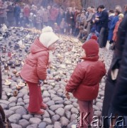 1973, Warszawa, Polska.
Cmentarz na Woli.
Fot. Romuald Broniarek, zbiory Ośrodka KARTA