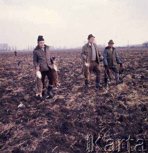 1973, Czechosłowacja.
Polowanie na bażanty i zające.
Fot. Romuald Broniarek, zbiory Ośrodka KARTA
