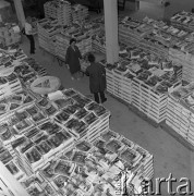 1974, Warszawa, Polska.
Drukarnia na ulicy Okopowej.
Fot. Romuald Broniarek, zbiory Ośrodka KARTA