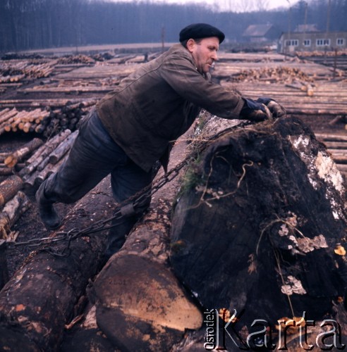 1975, Dębno, Polska.
Tartak.
Fot. Romuald Broniarek, zbiory Ośrodka KARTA