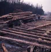 1975, Dębno, Polska.
Tartak.
Fot. Romuald Broniarek, zbiory Ośrodka KARTA