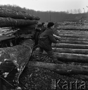 1975, Dębno, Polska.
Tartak.
Fot. Romuald Broniarek, zbiory Ośrodka KARTA