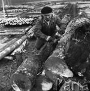 1975, Dębno, Polska.
Tartak.
Fot. Romuald Broniarek, zbiory Ośrodka KARTA