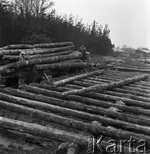 1975, Dębno, Polska.
Tartak.
Fot. Romuald Broniarek, zbiory Ośrodka KARTA