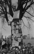 1984, Warszawa, Polska.
Drzewo z tablicami pamiątkowymi na terenie Muzeum Więzienia „Pawiak”.
Fot. Romuald Broniarek, zbiory Ośrodka KARTA