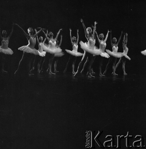 1985, Warszawa, Polska.
Balet 