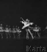 1985, Warszawa, Polska.
Balet 