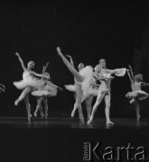 1985, Warszawa, Polska.
Balet 