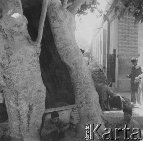 1943, Dżulfa, Persja (Iran).
Arabowie siedzący koło starego platana.
Fot. NN, zbiory Ośrodka KARTA, album Konstantego Rdułtowskiego udostępniła Teresa Koziorowska.
 ]
