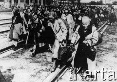 08.1944, Warszawa, Polska.
Grupa warszawskich kobiet w drodze do obozu przejściowego w Pruszkowie po opuszczeniu Warszawy podczas powstania warszawskiego. N/z Joanna Radke (2L, z torbą na piersiach).
Fot. autor nieznany, zbiory Fundacji Ośrodka KARTA, udostępniła Joanna Radke