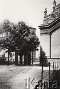 1900-1939, Lwów.
 Drzewo kasztanowe na dziedzińcu kościoła Bernardynów.
 Fot. NN, zbiory Ośrodka KARTA, udostępnił Jurij Karpenczuk
   
