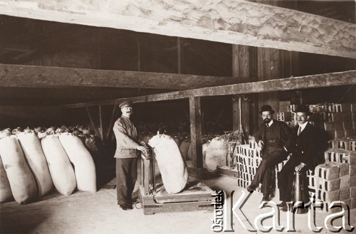 1915, Lwów.

 Młyn przy ulicy Bema, ważenie worków z mąką.
 Fot. NN, zbiory Ośrodka KARTA, udostępnił Jurij Karpenczuk
   
